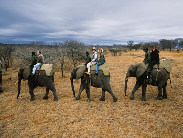 Cybele Forest Lodge - Activities